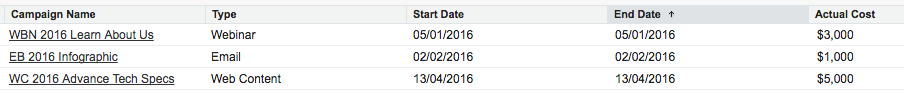 Salesforce_Campaign_View