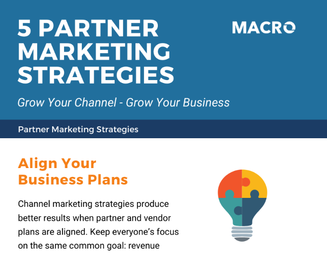 Partner Marketing Infographic