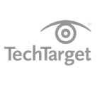 Techtarget company logo