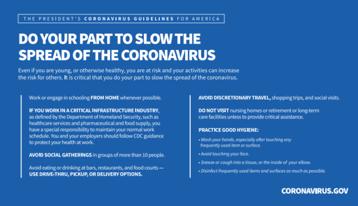 coronavirus whitehouse guidelines